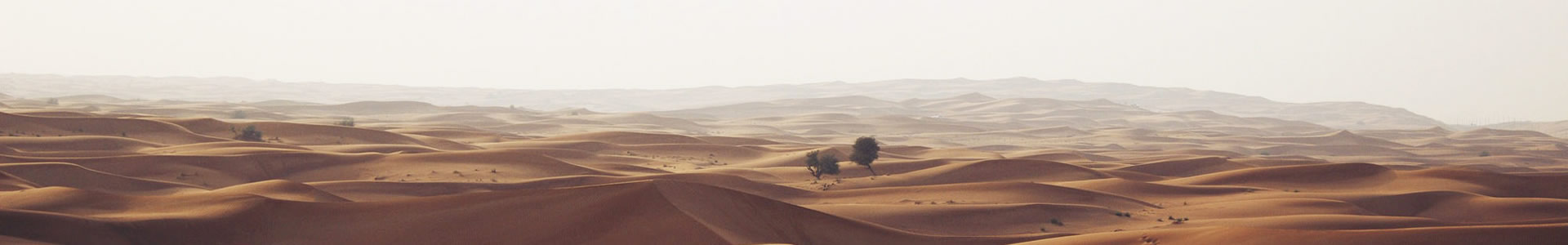 ɽշƼ޹˾
